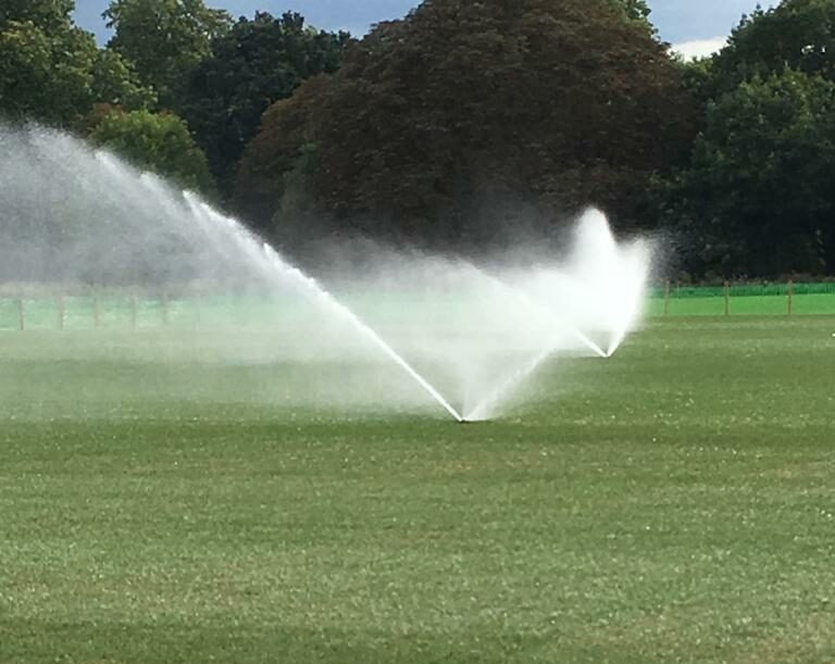 Hybrid Turf Pioneers