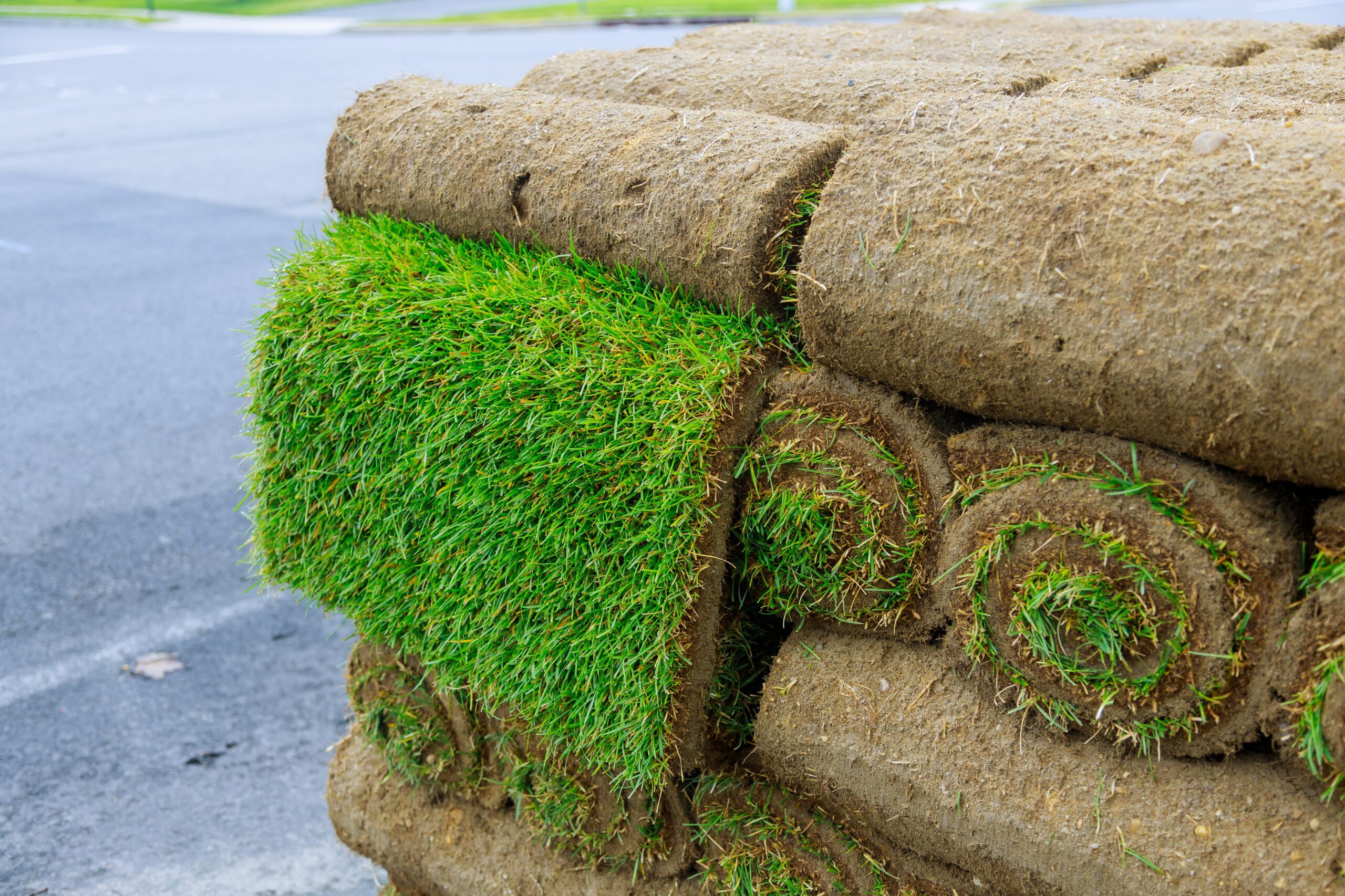 TURF PEGS (boxes of 1000) Talbot Turf