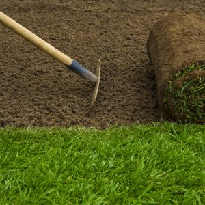 Premium Lawn Turf (TTS2) - Image 4