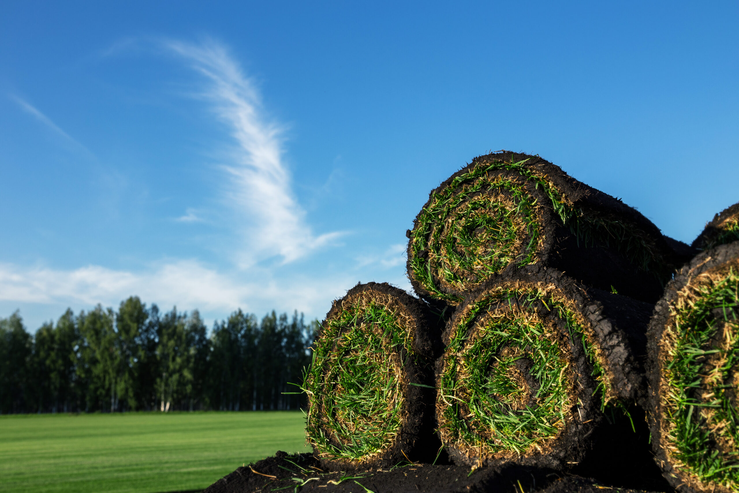 1 MILLION square metres of turf!