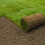 Premium Lawn Turf (TTS2) - Image 1