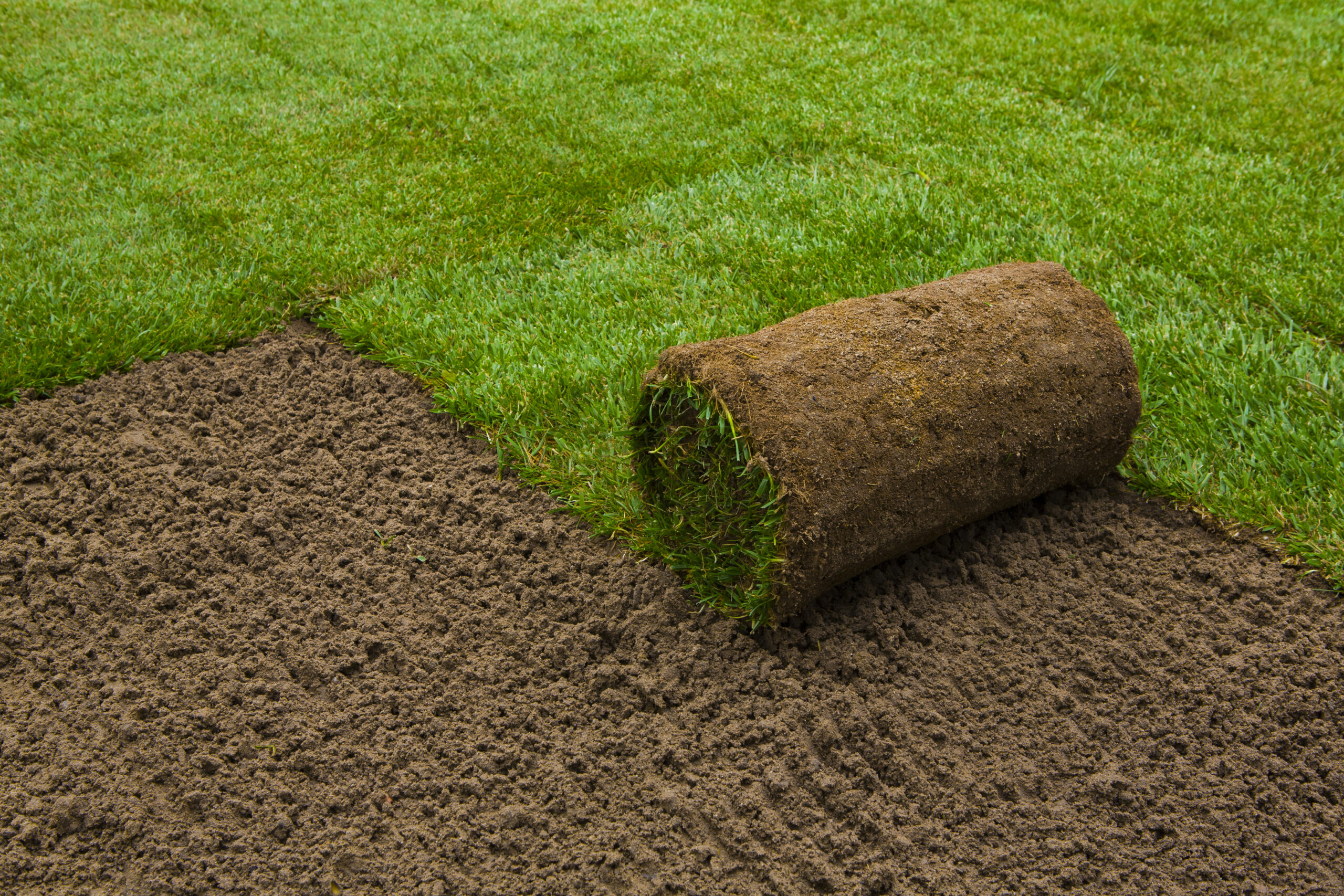 All Round Garden Turf (TTS1)