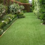 Mowing & lawn basics