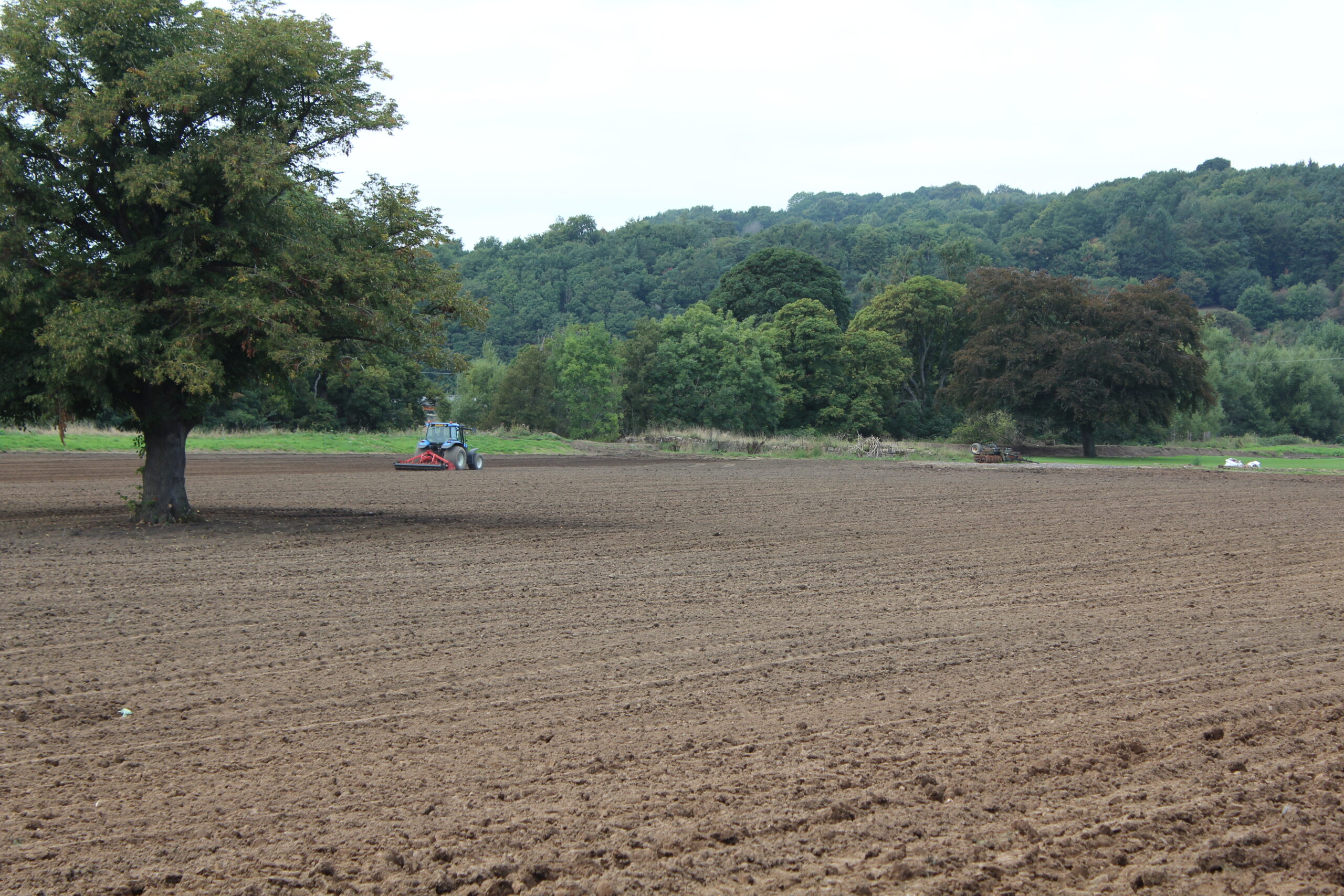 Talbots cultivating turf