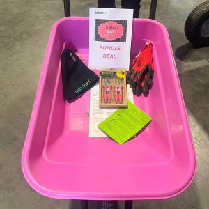 SPRING WHEELBARROW SPECIAL (Comes in a box)